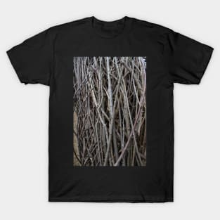 Wood branches T-Shirt